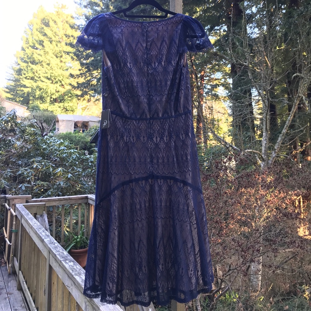 Lace Adrianna Papell Dress - Picture 5 of 6
